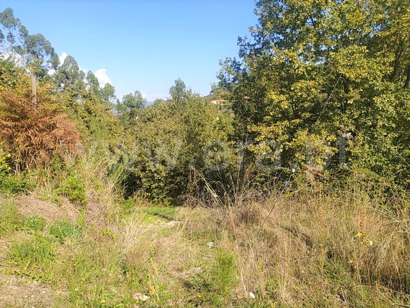 Terreno  Cinfães, Santiago de Piães - 1280002 - 2