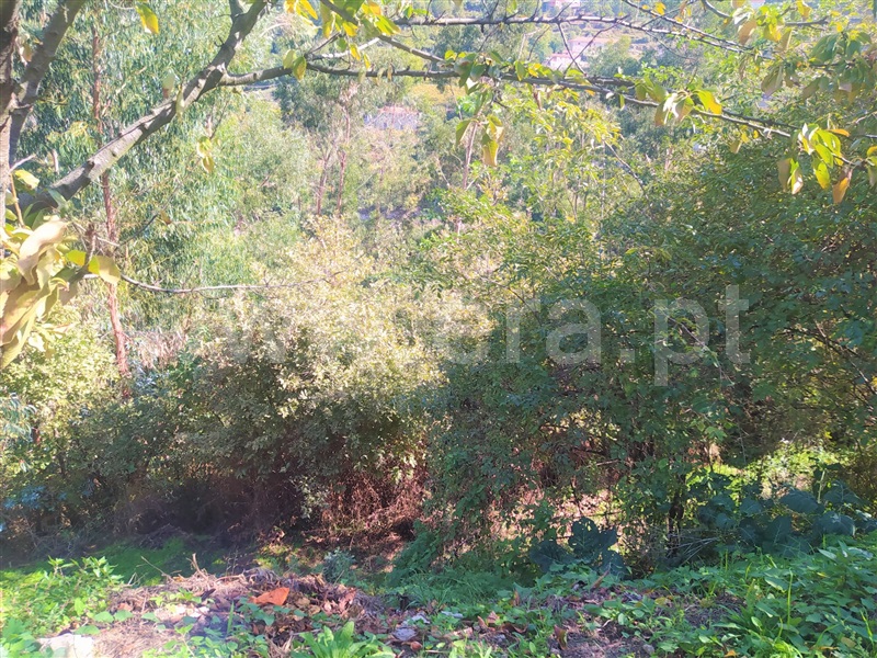 Terreno  Cinfães, Santiago de Piães - 1280002 - 3