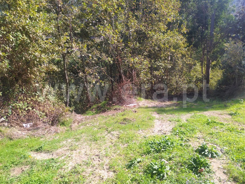 Terreno / Cinfães, Santiago de Piães