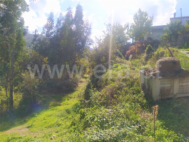 Terreno  Cinfães, Santiago de Piães - 1280002 - 5