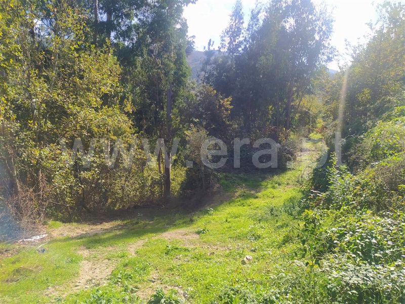 Terreno  Cinfães, Santiago de Piães - 1280002 - 7