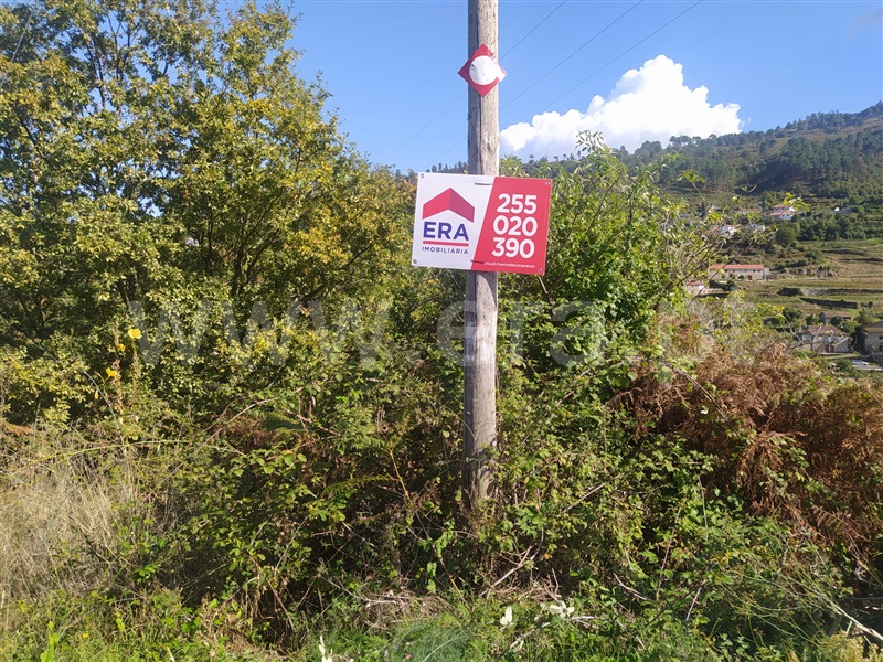 Terreno  Cinfães, Santiago de Piães - 1280002 - 8