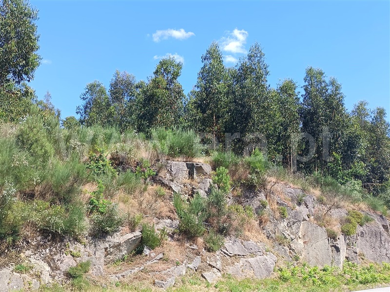 Terreno  Cinfães, São Cristóvão de Nogueira - 1412837 - 1