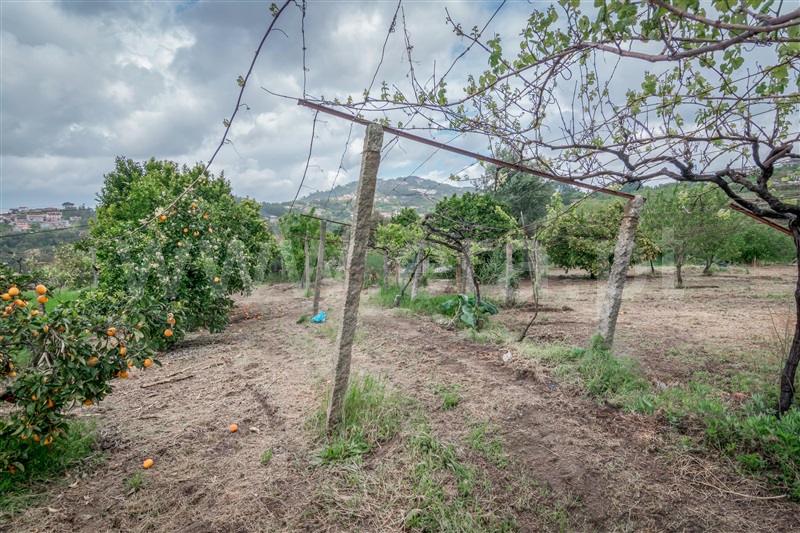 Terreno  Cinfães, Souselo - 1422019 - 1