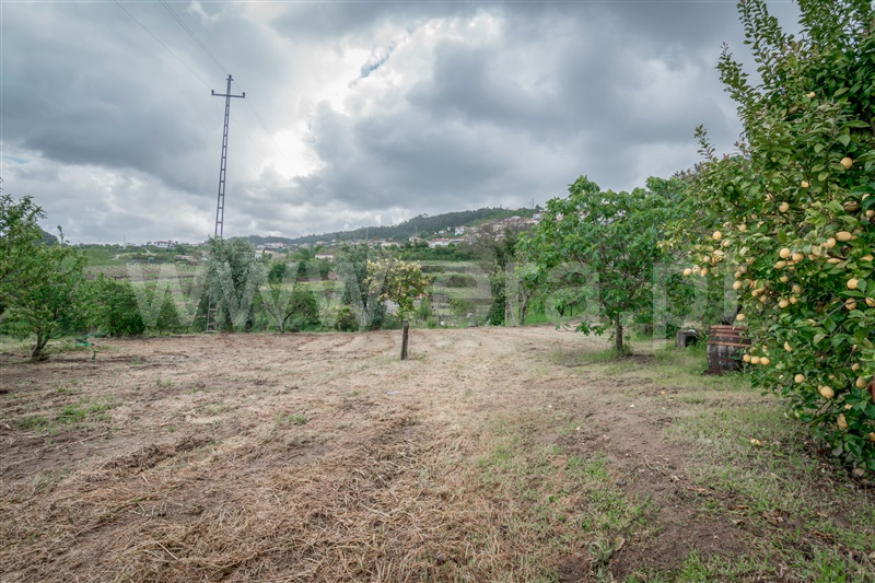Terreno  Cinfães, Souselo - 1422019 - 2