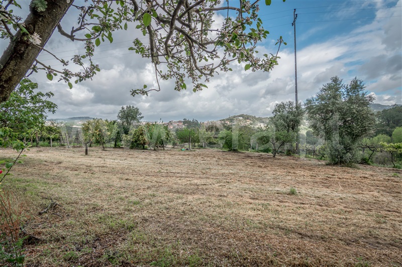 Terreno  Cinfães, Souselo - 1422019 - 4
