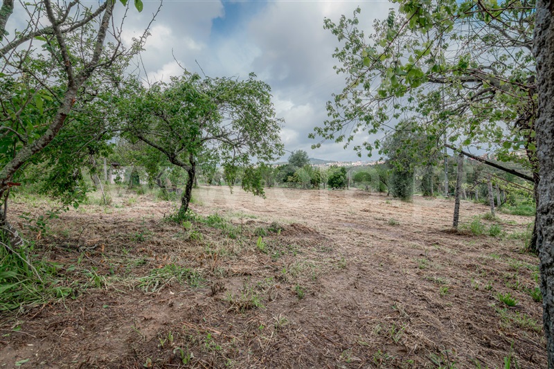 Terreno  Cinfães, Souselo - 1422019 - 5