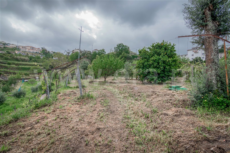 Terreno  Cinfães, Souselo - 1422019 - 6