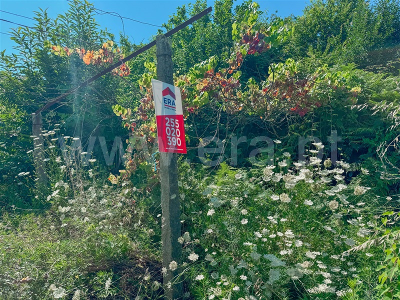 Terreno  Cinfães, Souselo - 1422019 - 7