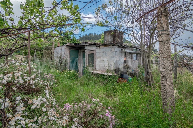 Terreno  Cinfães, Souselo - 1422019 - 8