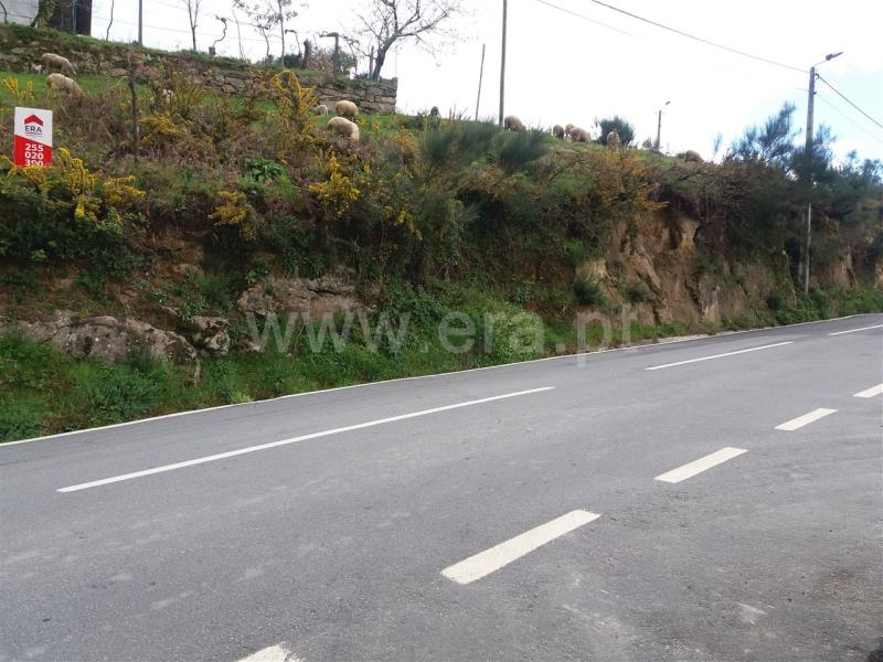 Terreno  Cinfães, Souselo - 804446 - 3
