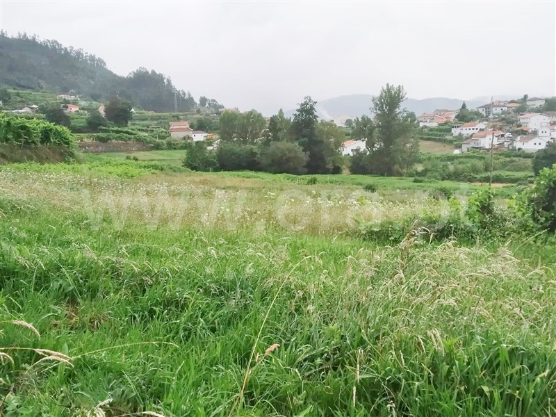 Terreno  Cinfães, Travanca - 1028776 - 2