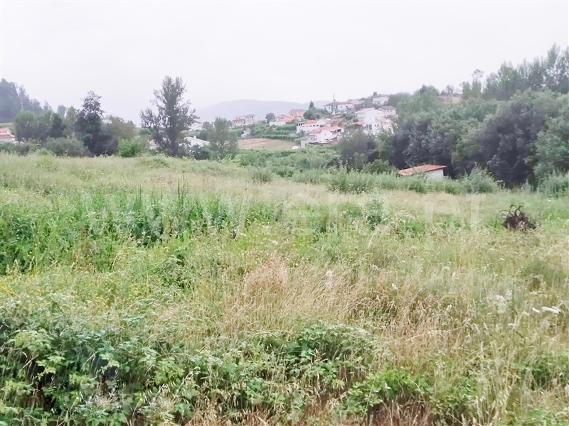 Terreno / Cinfães, Travanca