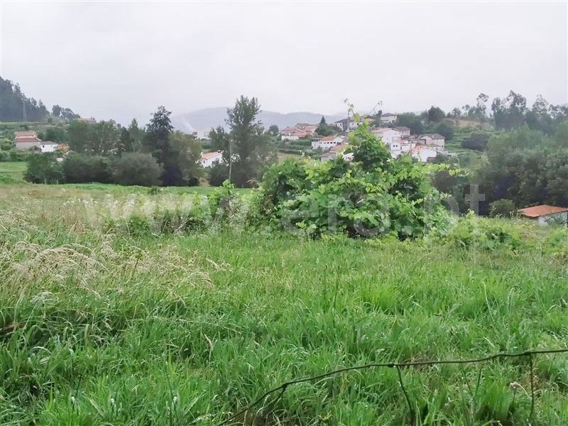 Terreno  Cinfães, Travanca - 1028776 - 4