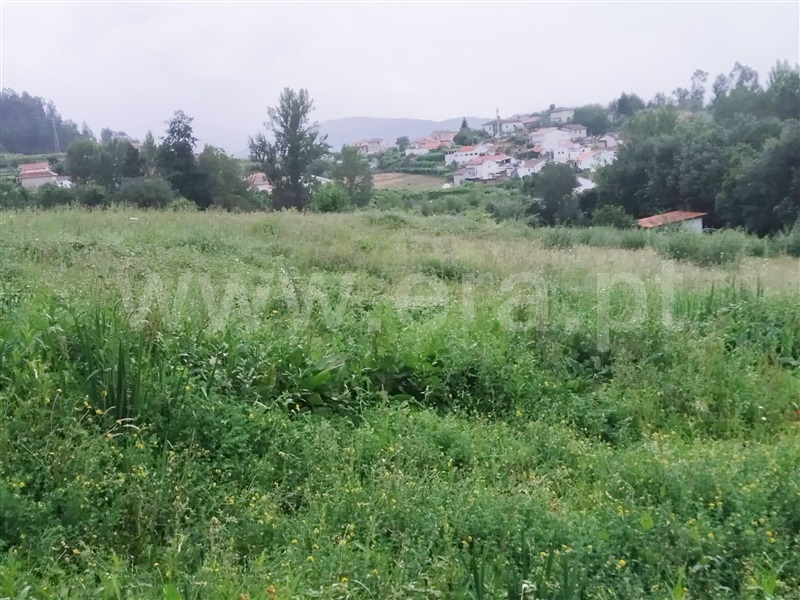 Terreno  Cinfães, Travanca - 1028776 - 1