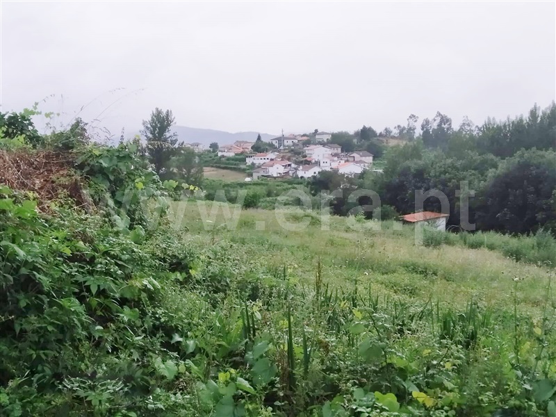 Terreno  Cinfães, Travanca - 1028776 - 5