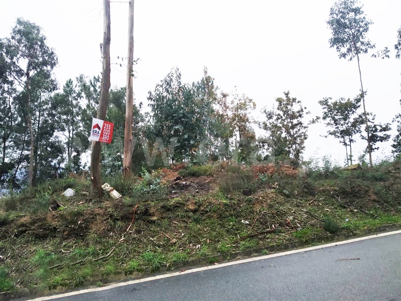 Terreno  Cinfães, Travanca - 1055158 - 4