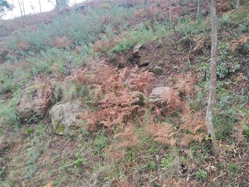 Terreno  Cinfães, Travanca - 1055158 - 5