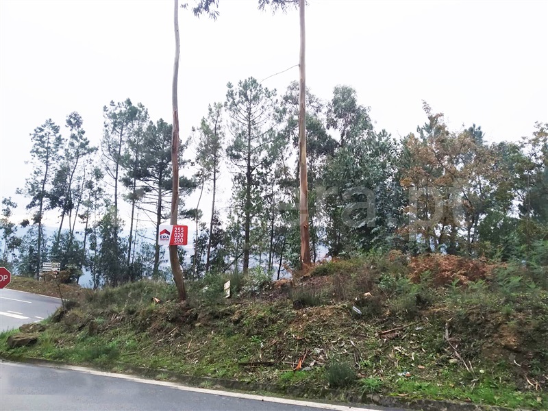 Terreno / Cinfães, Travanca
