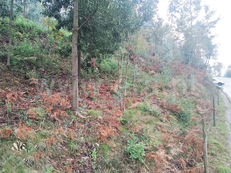 Terreno  Cinfães, Travanca - 1055158 - 7