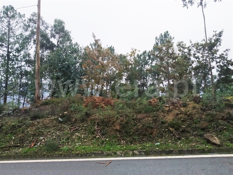 Terreno  Cinfães, Travanca - 1055158 - 8