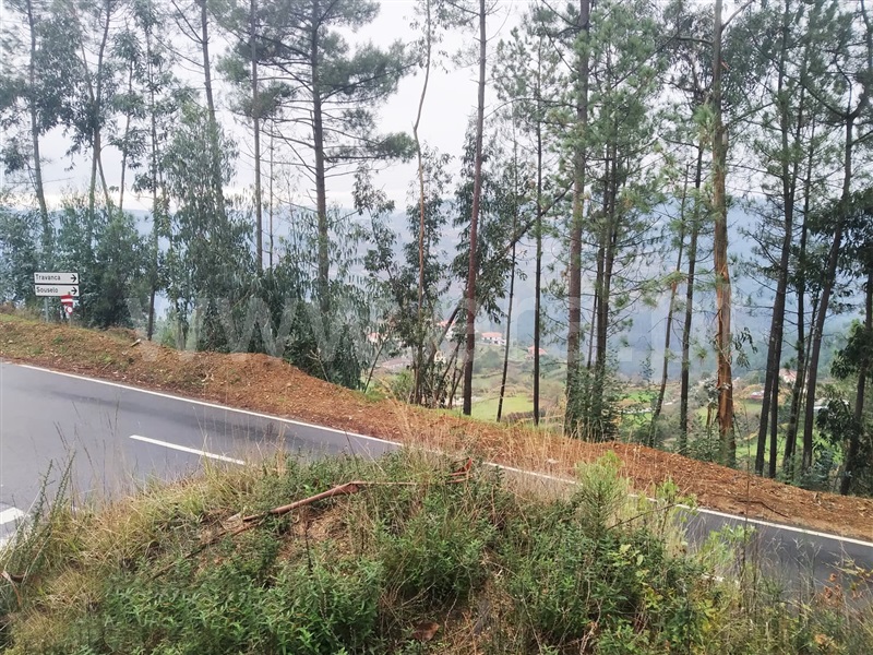 Terreno  Cinfães, Travanca - 1055158 - 9