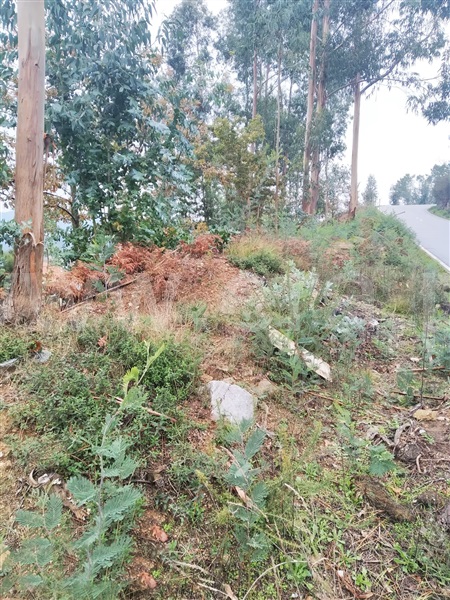Terreno  Cinfães, Travanca - 1055158 - 10