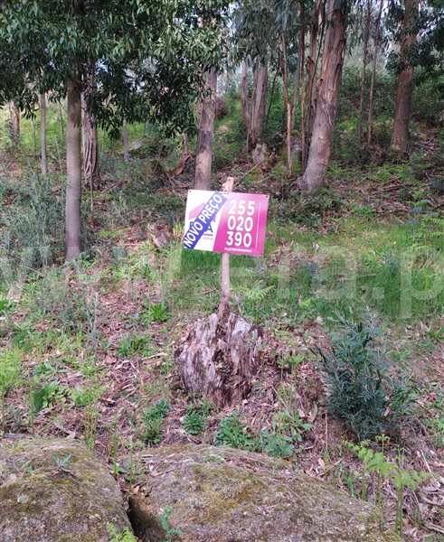 Terreno  Cinfães, Travanca - 1055158 - 11