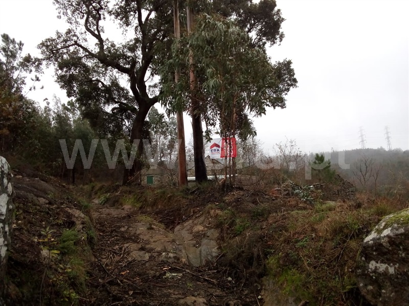 Terreno  Cinfães, Travanca - 1060872 - 1