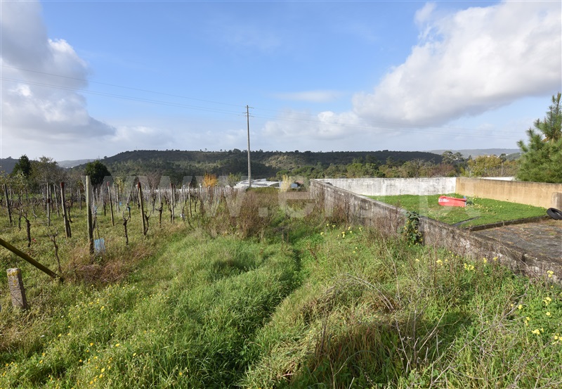 Terreno / Coimbra, Brasfemes
