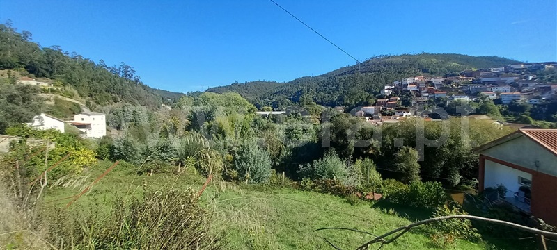 Terreno / Coimbra, Ceira