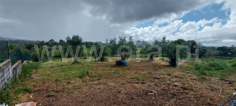 Terreno / Coimbra, Cernache