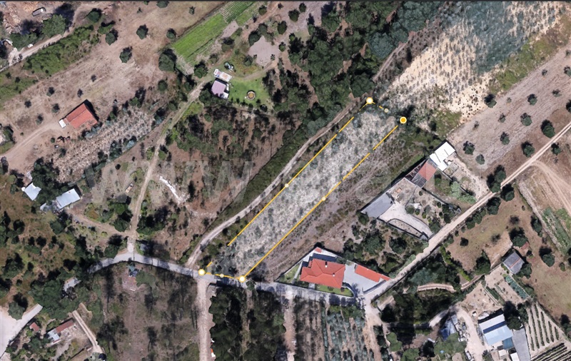 Terreno / Coimbra, Gândara