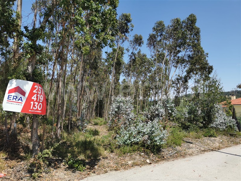 Terreno  Coimbra, Gândara - 1325458 - 3