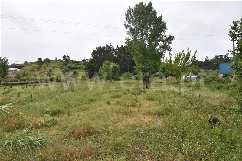 Terreno / Coimbra, Pedrulha