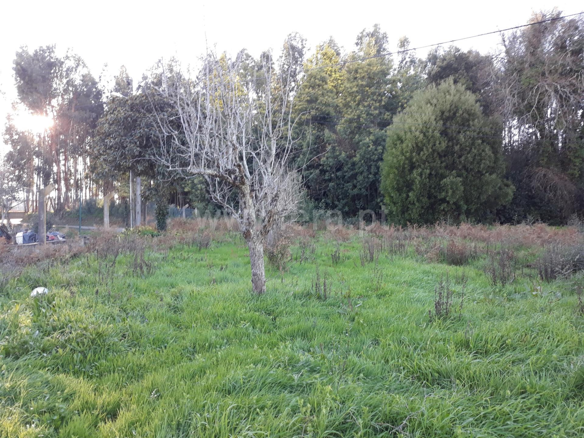Land for sale in Coimbra, Portugal — €75,000