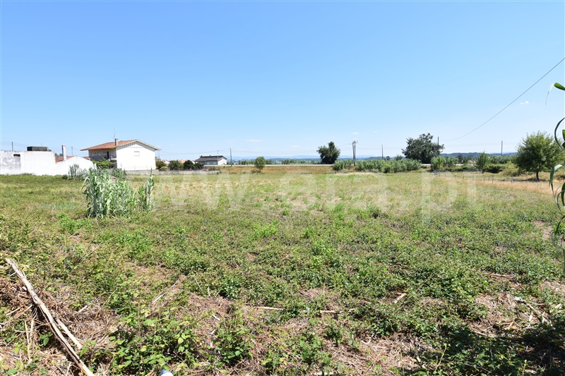 Terreno  Coimbra, S. Martinho de Árvore - 1104873 - 2