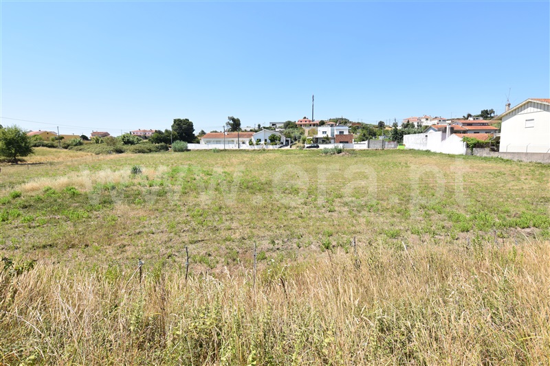 Terreno  Coimbra, S. Martinho de Árvore - 1104873 - 3