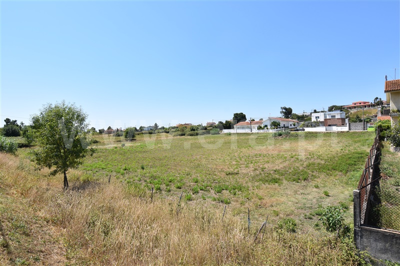 Terreno  Coimbra, S. Martinho de Árvore - 1104873 - 4