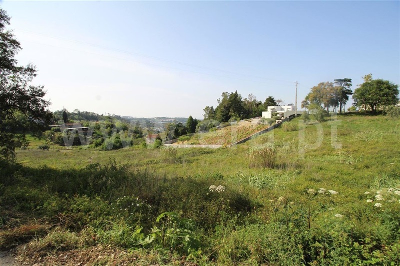 Terreno / Coimbra, Santa Clara e Castelo Viegas
