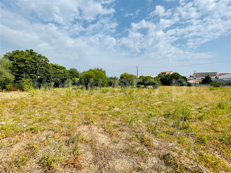 Terreno / Coimbra, São Martinho do Bispo - Fala / Casas Novas