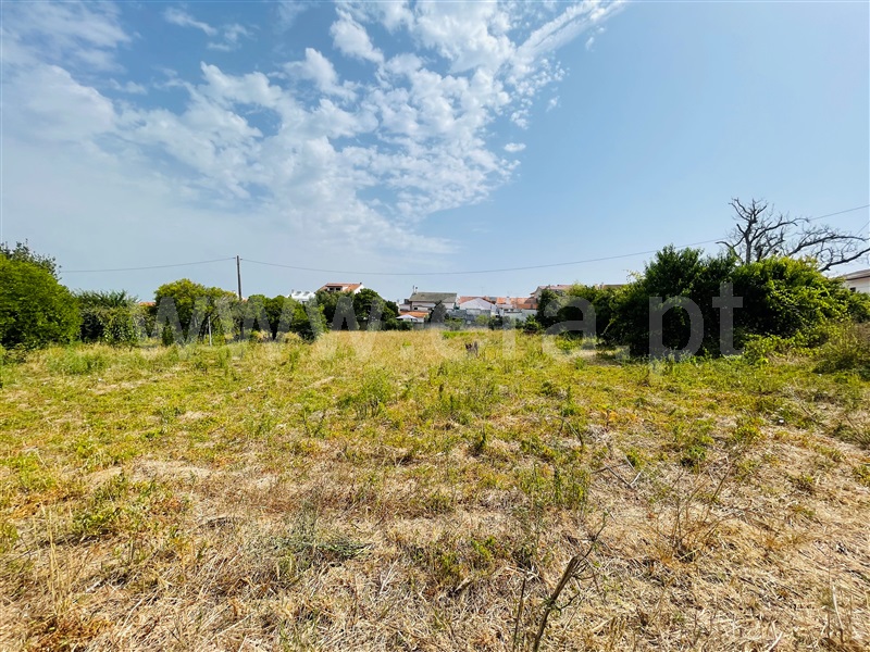 Terreno  Coimbra, São Martinho do Bispo - Fala / Casas Novas - 1500496 - 3