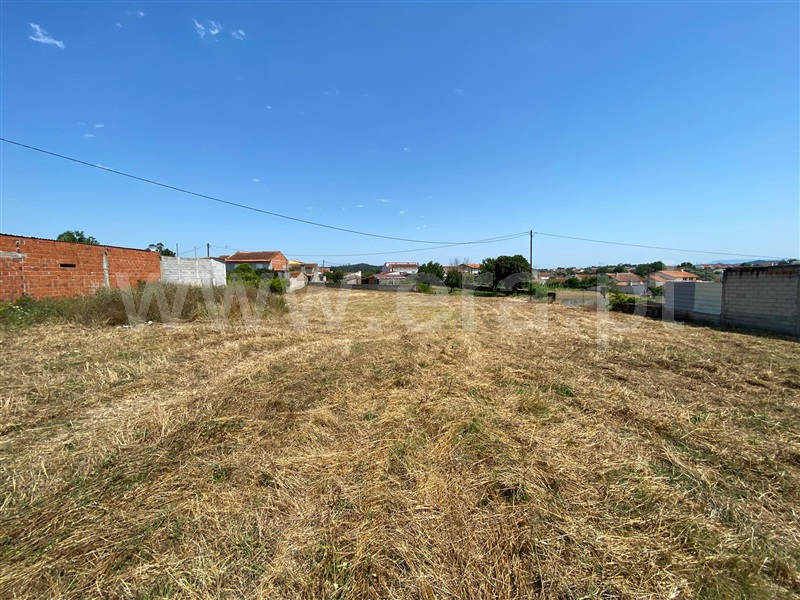 Terreno / Coimbra, São Silvestre