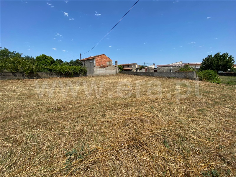 Terreno  Coimbra, São Silvestre - 1188139 - 2