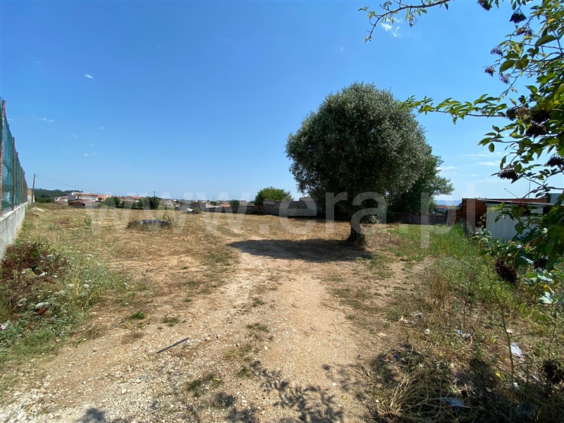 Terreno  Coimbra, São Silvestre - 1188139 - 4