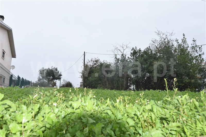 Terreno  Coimbra, São Silvestre - 1290724 - 4