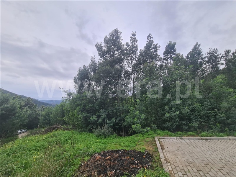 Terreno / Coimbra, Torres do Mondego