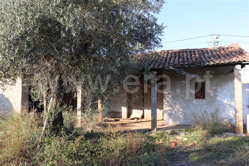 Terreno com ruina  Abrantes, Alferrarede-Velha - 1287923 - 3