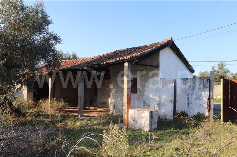 Terreno com ruina / Abrantes, Alferrarede-Velha