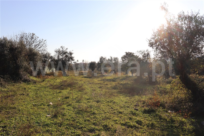 Terreno com ruina  Abrantes, Alferrarede-Velha - 1287923 - 5